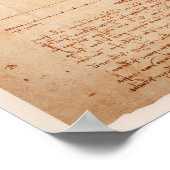 DaVinci-Man Poster (Hoek)