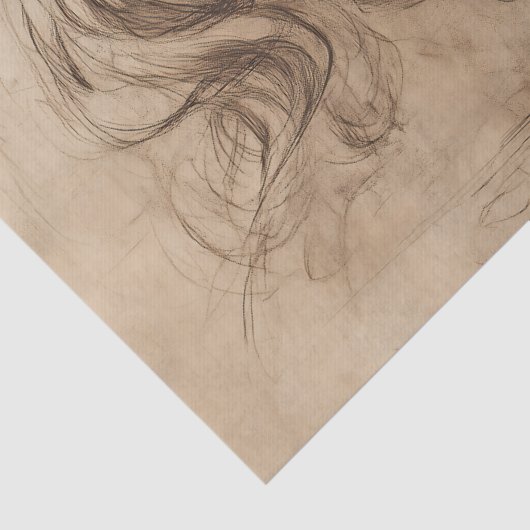 DaVinci Unicorn Sketch Tissuepapier (Detail)