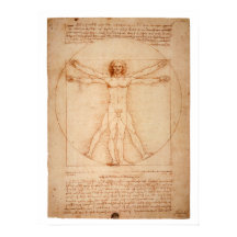 DaVinci Vitruviaans Man Poster
