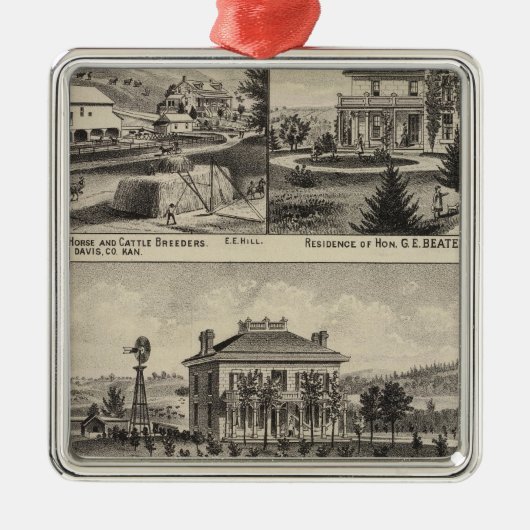 Davis County, Kansas 2 Metalen Ornament (Voorkant)