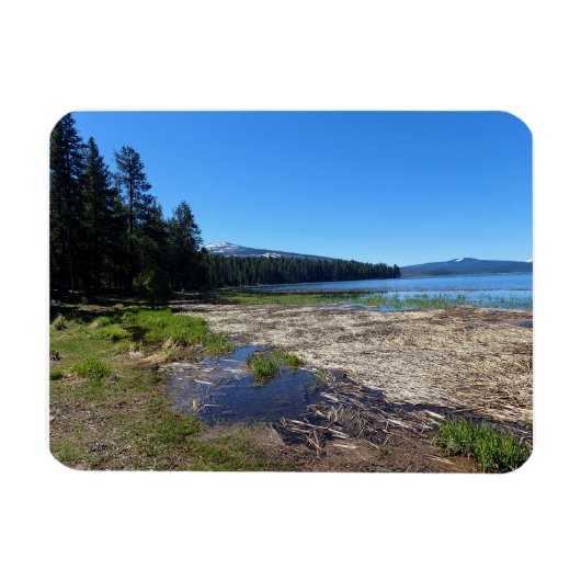 Davis Lake, OR Magneet (Horizontaal)