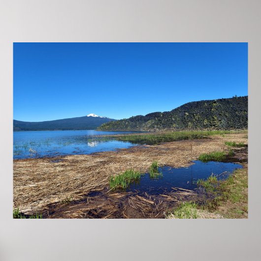 Davis Lake, OR Poster (Voorkant)