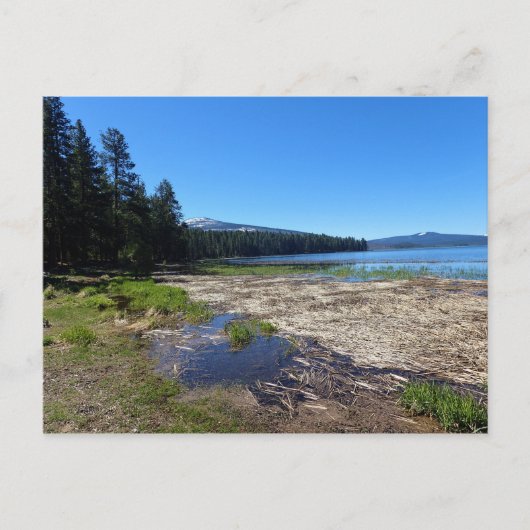 Davis Lake, Oregon Briefkaart (Voorkant)