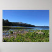 Davis Lake, Oregon Poster (Voorkant)