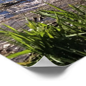 Davis Lake, Oregon Poster (Hoek)