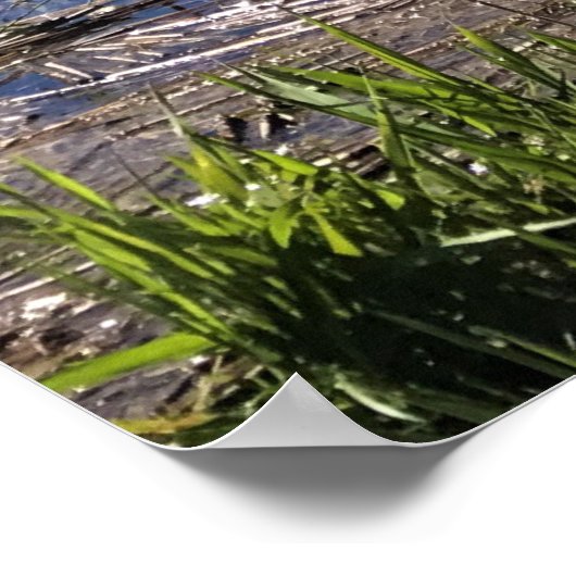 Davis Lake, Oregon Poster (Hoek)