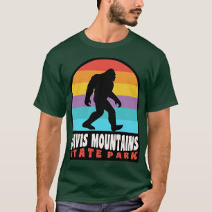 Davis Mountains State Park, Texas T-shirt