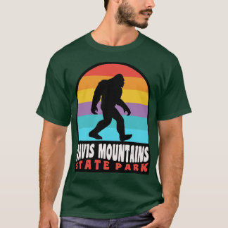 Davis Mountains State Park, Texas T-shirt