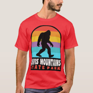 Davis Mountains State Park, Texas T-shirt