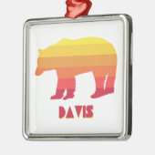 Davis West Virginia Rainbow-Beer Metalen Ornament (Links)