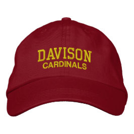 Davison Michigan High School Baseball Hat Geborduurde Pet