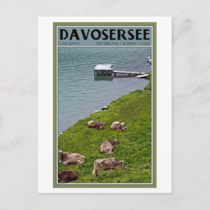 Davos - Koeien langs de Lakefront Briefkaart