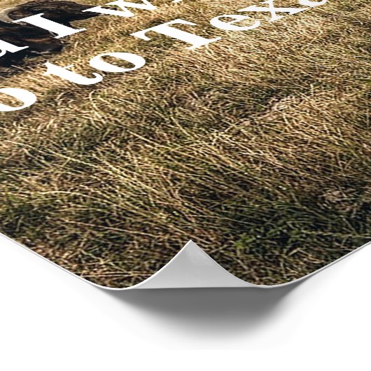 Davy Crockett citaat over het Poster hel en Texas (Hoek)