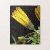 Daw Drops op een gele Daisy - Puzzel (Verticaal)