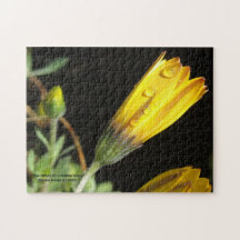 Daw Drops op een gele Daisy - Puzzel