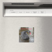 Dawlish Black Swan Magneet (Insitu (Vaatwasser))