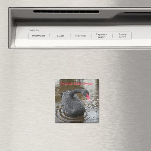 Dawlish Black Swan Magneet (Insitu (Vaatwasser))