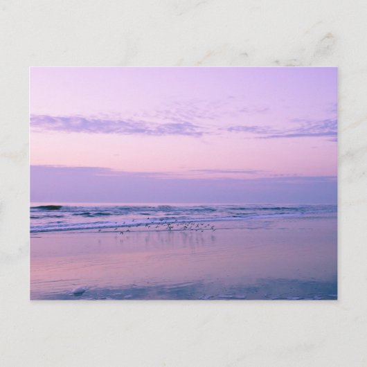 Dawn at the Beach Briefkaart (Voorkant)