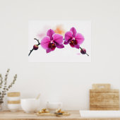 Dawn Bloom Orchid Poster (Keuken)