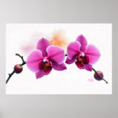 Dawn Bloom Orchidee Poster (Voorkant)