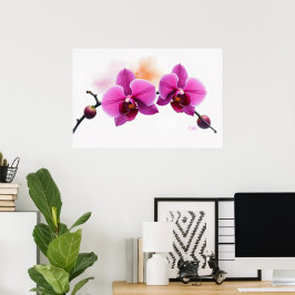 Dawn Bloom Orchidee Poster