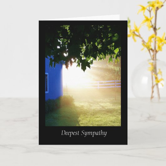 Dawn Deepest Sympathy Card Kaart (Gele Bloem)