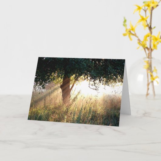 Dawn Deepest Sympathy Card Kaart (Gele Bloem)