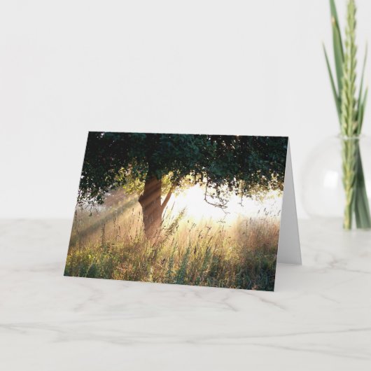 Dawn Deepest Sympathy Card Kaart (Voorkant)