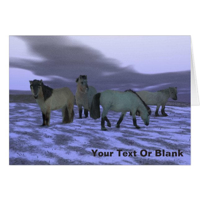 Dawn Horse (Voorkant Horizontaal)