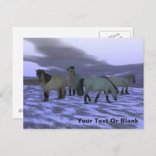 Dawn Horse Briefkaart (Voorkant / Achterkant)