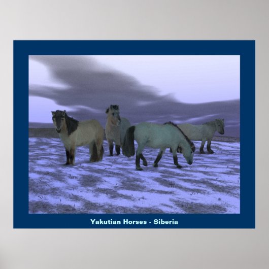 Dawn Horse Poster (Voorkant)