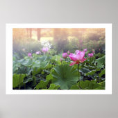 Dawn on Lotus Pond Poster (Voorkant)
