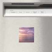Dawn ontmoet strand magneet (Insitu (Vaatwasser))