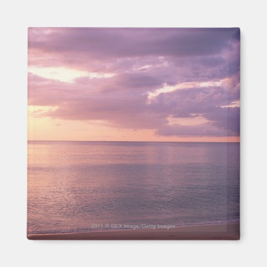 Dawn ontmoet strand magneet (Voorkant)
