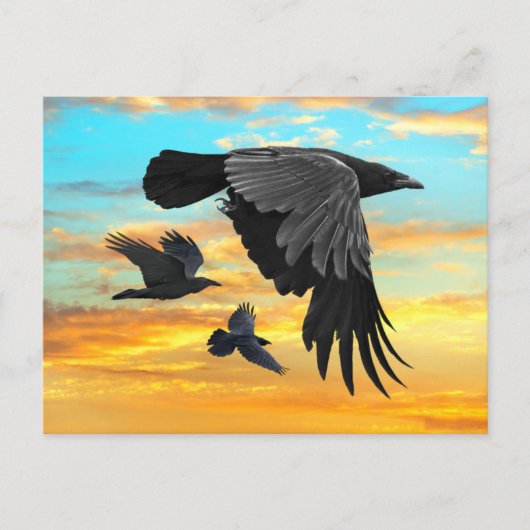 "Dawn Patrol"  Briefkaart (Voorkant)