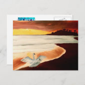 Dawn Patrol Hawaiian Sun stelde Briefkaart Hawaii  (Voorkant / Achterkant)