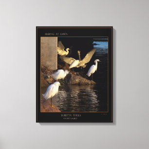 Dawn Snowy Egrets Wrapped Canvas Afdruk