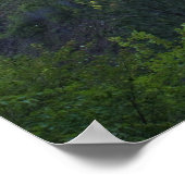 Dawn Sun, Bridge 22, Camas Prairie Railroad Poster (Hoek)