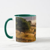Dawn Sunshine | Engels Land Mok (Links)