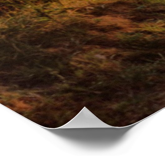 Dawn Sunshine | Engels Land Poster (Hoek)