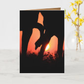 Dawn Touch Wild Horse Wenskaart Kaart (Gele Bloem)