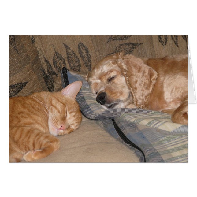 Dax en Chance Share (Voorkant Horizontaal)