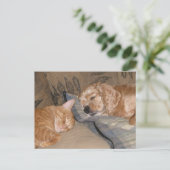 Dax en Chance Share Briefkaart (Staand voorkant)