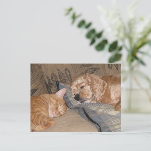 Dax en Chance Share Briefkaart (Staand voorkant)