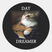 Day Dreamer Sticker (Voorkant)