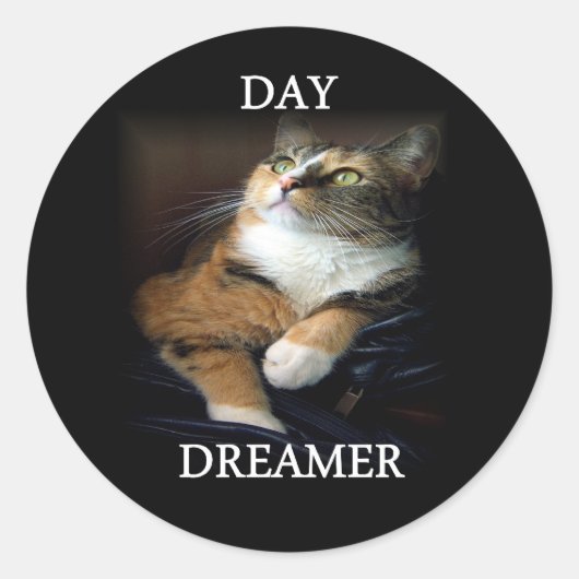Day Dreamer Sticker (Voorkant)