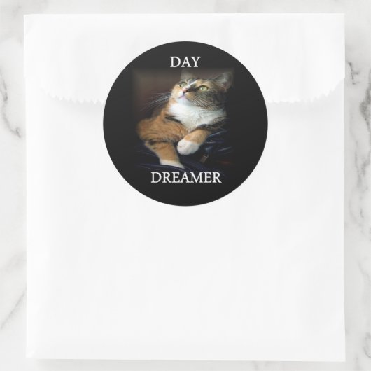 Day Dreamer Sticker (Tas)