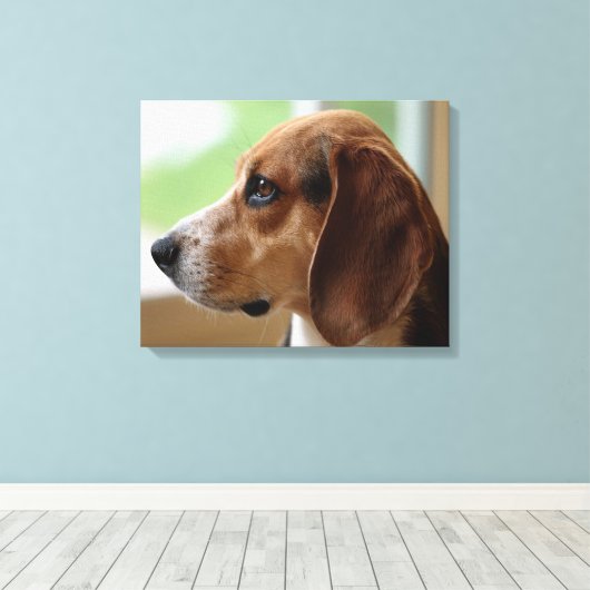 Day Dreaming Beagle Canvas Afdruk (Insitu (Houten vloer))