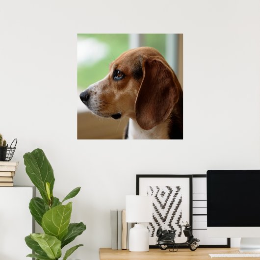 Day Dreaming Beagle Poster (Thuiskantoor)