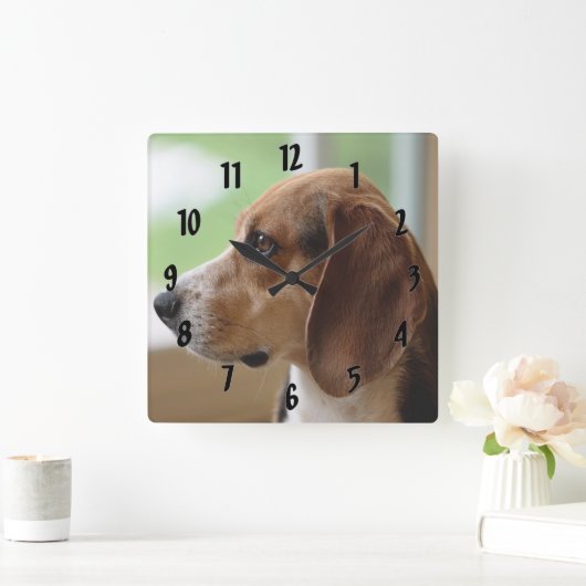 Day Dreaming Beagle Vierkante Klok (Huis)